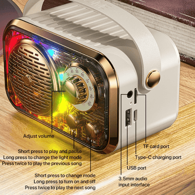 Karaoke Wireless Bluetooth Speaker